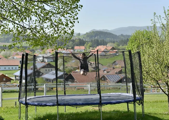 Waldkristall *