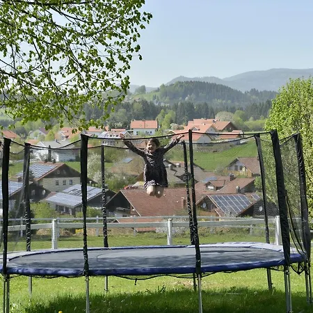 Waldkristall *